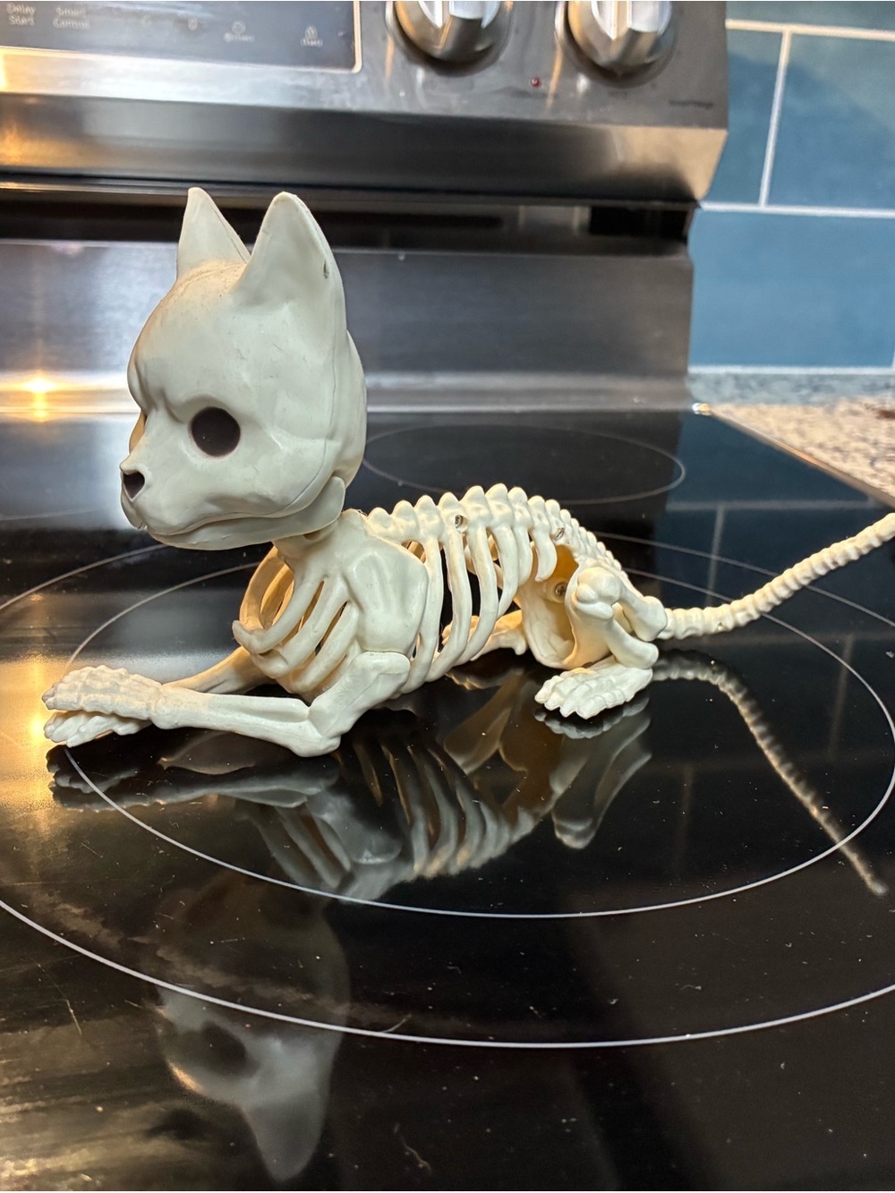 CAT SKELETON HALLOWEEN DECOR 💀